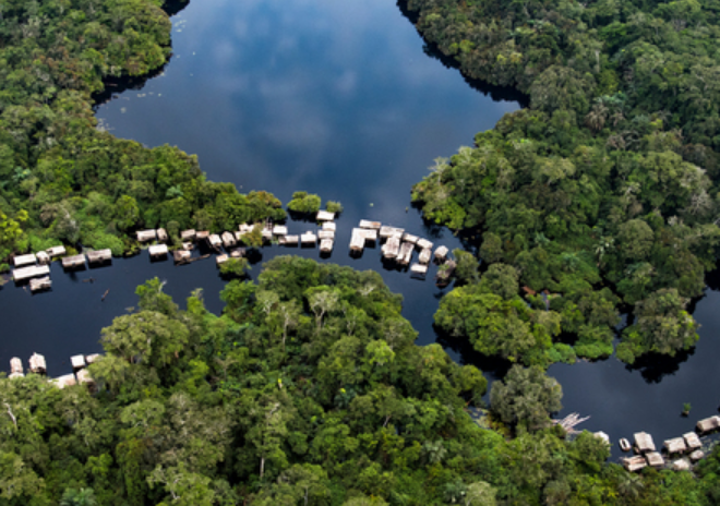 Découverte de nouvelles espèces dans le Bassin du Congo