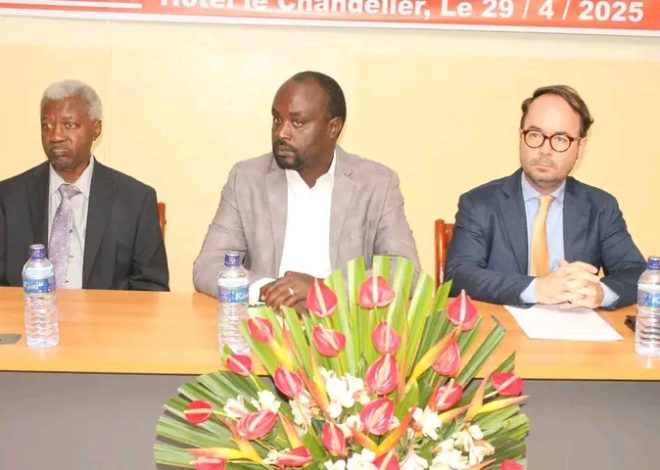 Même faculté, même niveau de formation, même compétences en psychologie clinique