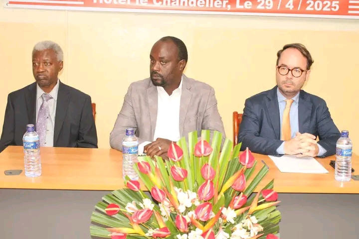 Même faculté, même niveau de formation, même compétences en psychologie clinique